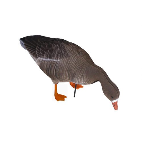 Чучело ГУСЬ ГУМЕННИК кормящийся мягк., на ноге